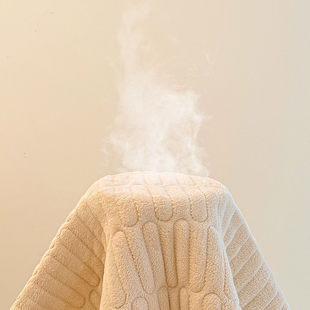 91家纺网 家纺一手货源 找家纺 喜居 2025新款亲肤舒适苹安喵刺绣牛奶绒床褥垫垫子-苹安喵 苹安喵-咖