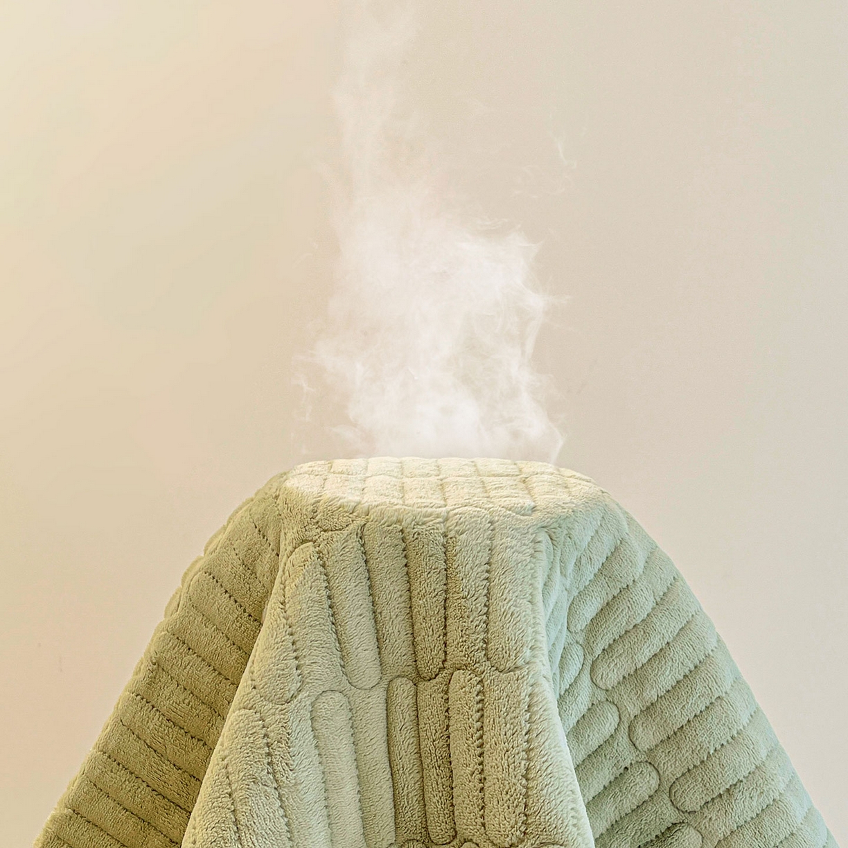 91家纺网 家纺一手货源 找家纺 喜居 2025新款亲肤舒适苹安喵刺绣牛奶绒床褥垫垫子-苹安喵 苹安喵-绿