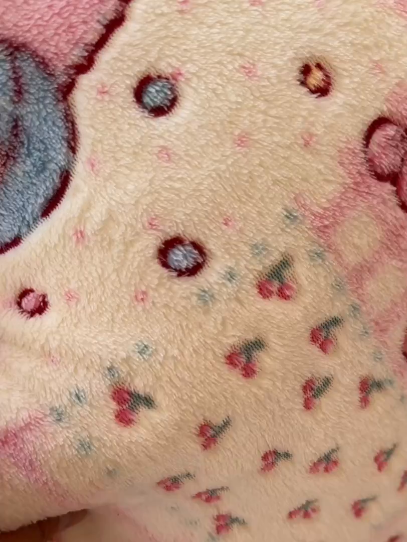 91家纺网 家纺一手货源 找家纺 韩巢家纺 2025新款高克重雪花绒牛奶绒四件套系列 巴丽娜