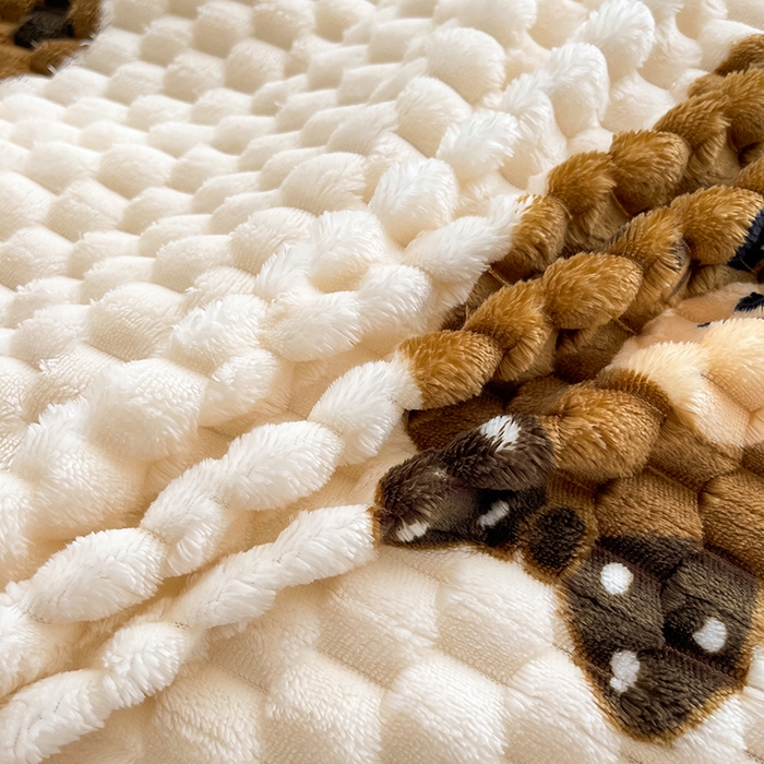 91家纺网 家纺一手货源 找家纺 熙宴家纺 2025新款可拆卸冬被被套+被芯二合一可拆洗豆豆绒棉花被子被芯 大脚熊