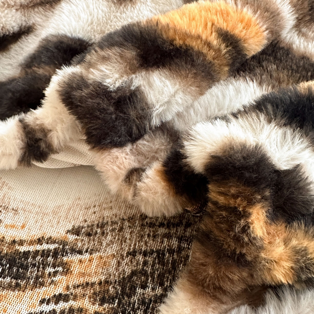 91家纺网 家纺一手货源 找家纺 娜娜 2025新款兔毛绒保暖床笠 夜豹