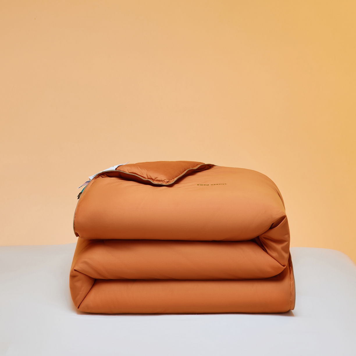 丽笙被芯 2025新款秋冬亲肤舒适80S超细旦天丝棉微磨毛素色可水洗懒人被-场景一 焦糖橙