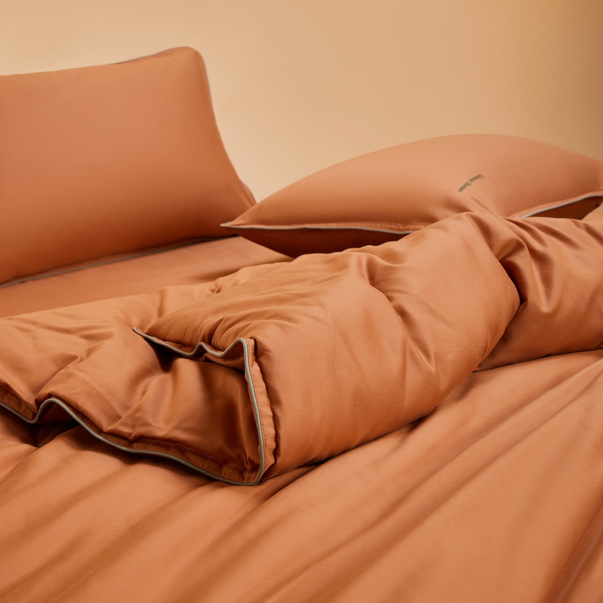 91家纺网 家纺一手货源 找家纺 丽笙被芯 2025新款秋冬亲肤舒适80S超细旦天丝棉微磨毛素色可水洗懒人被-场景一 焦糖橙