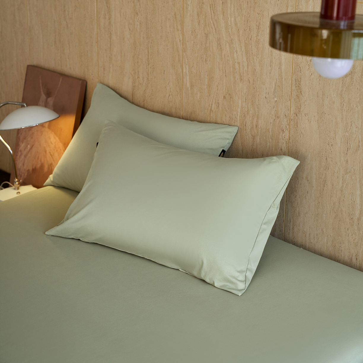 91家纺网 家纺一手货源 找家纺 丽笙被芯 2025新款亲肤舒适阿瓦提针织全棉纯棉枕套单品枕套单件枕套 春水绿