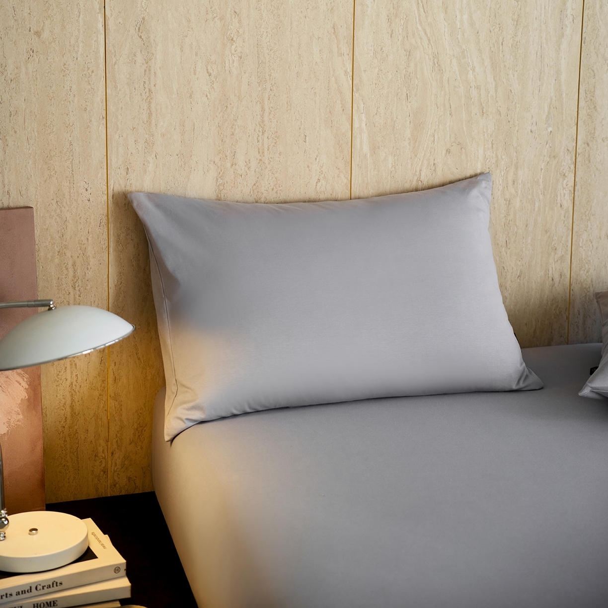 丽笙被芯 2025新款亲肤舒适阿瓦提针织全棉纯棉枕套单品枕套单件枕套 清爽灰