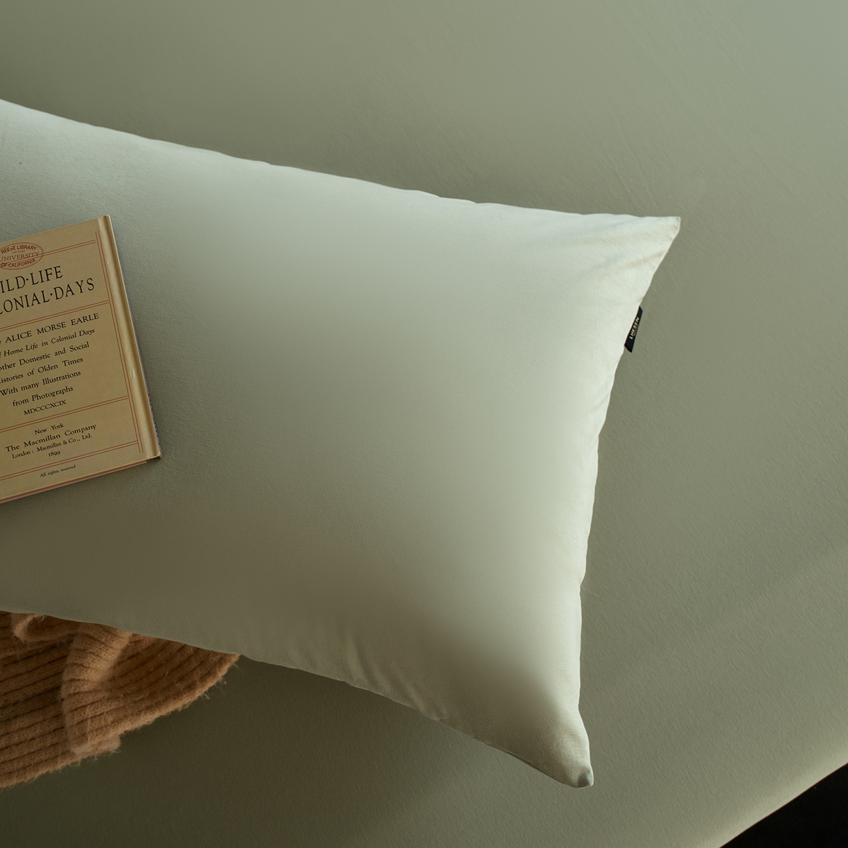 91家纺网 家纺一手货源 找家纺 丽笙被芯 2025新款亲肤舒适阿瓦提针织全棉纯棉枕套单品枕套单件枕套 春水绿