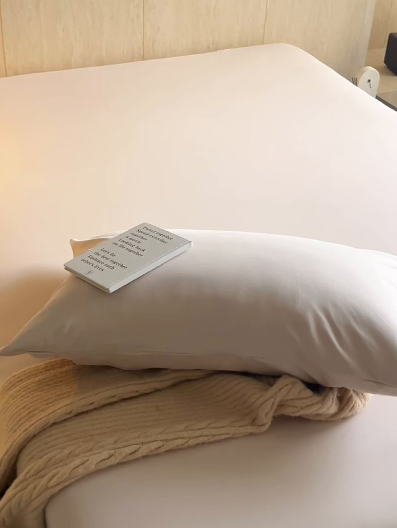 91家纺网 家纺一手货源 找家纺 丽笙被芯 2025新款亲肤舒适阿瓦提针织全棉纯棉枕套单品枕套单件枕套 浅咖