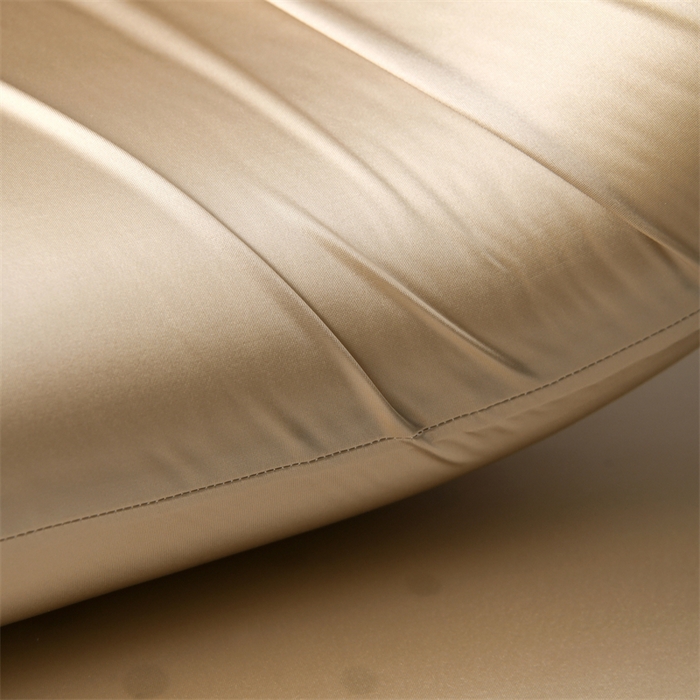 91家纺网 家纺一手货源 找家纺 爱来伊家纺 2025新款太空深睡枕护颈枕记忆枕侧睡护颈椎助睡眠枕头枕芯 香槟金