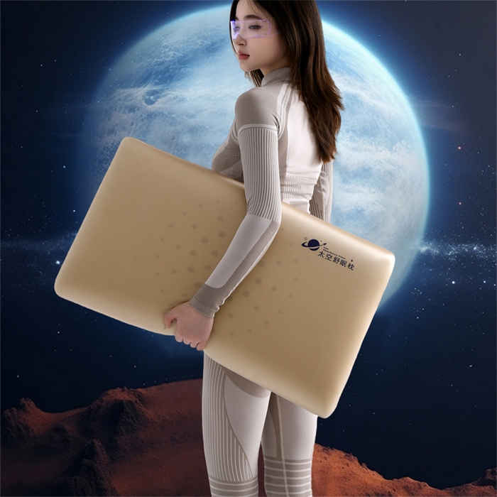 91家纺网 家纺一手货源 找家纺 爱来伊家纺 2025新款太空深睡枕护颈枕记忆枕侧睡护颈椎助睡眠枕头枕芯 香槟金