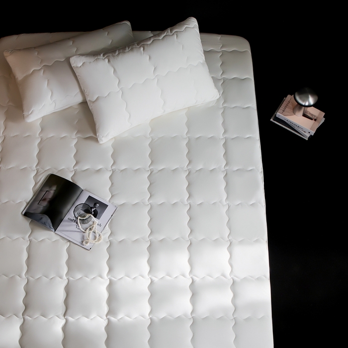 91家纺网 家纺一手货源 找家纺 丽笙被芯 2025新款抑菌低致敏四季床护垫 抑菌低致敏四季床护垫 床笠款