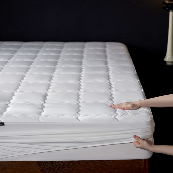 丽笙被芯 2025新款抑菌低致敏四季床护垫 抑菌低致敏四季床护垫 床笠款