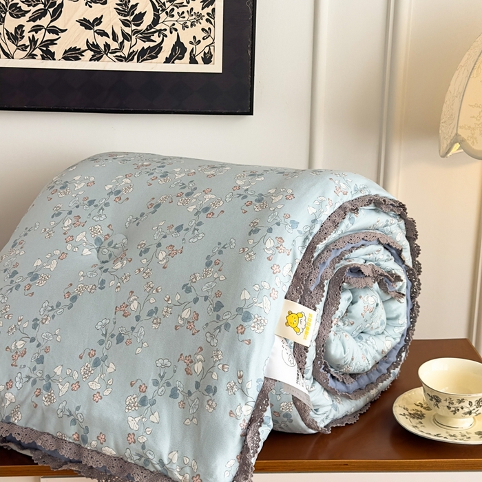 91家纺网 家纺一手货源 找家纺 花满路 2025新款亲肤柔软卡通系列豆豆被子被芯 朝花夕拾