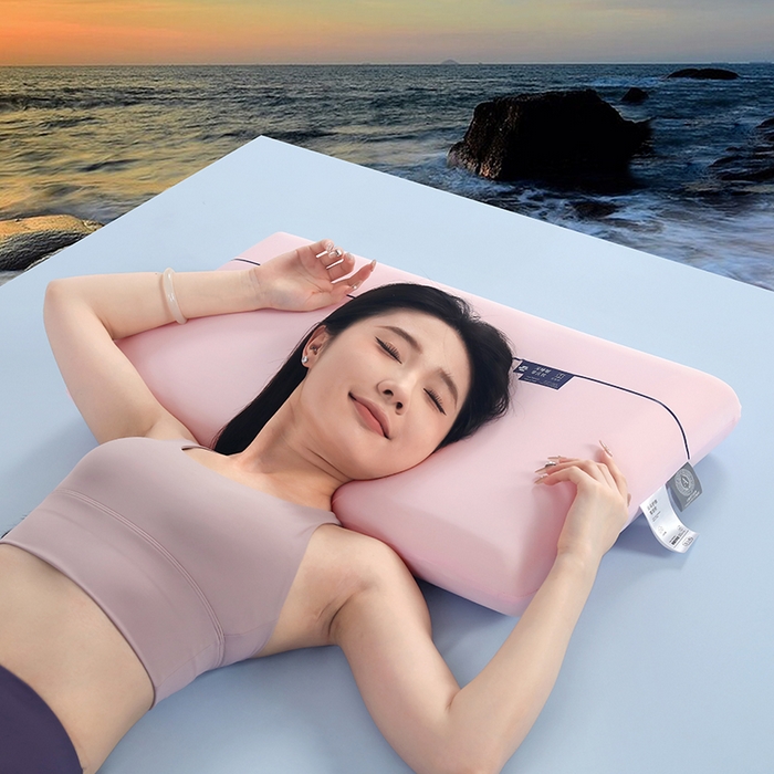 91家纺网 家纺一手货源 找家纺 （总）天之悦家纺 【软弹四色】新品云朵记忆棉枕头枕芯慢回弹深睡助眠护颈枕家用学生宿舍枕