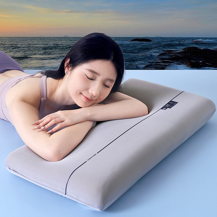 91家纺网 家纺一手货源 找家纺 天之悦家纺 【软弹四色】新品云朵记忆棉枕头枕芯慢回弹深睡助眠护颈枕家用学生宿舍枕 灰色