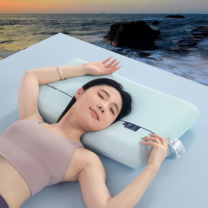 天之悦家纺 【软弹四色】新品云朵记忆棉枕头枕芯慢回弹深睡助眠护颈枕家用学生宿舍枕 蓝色