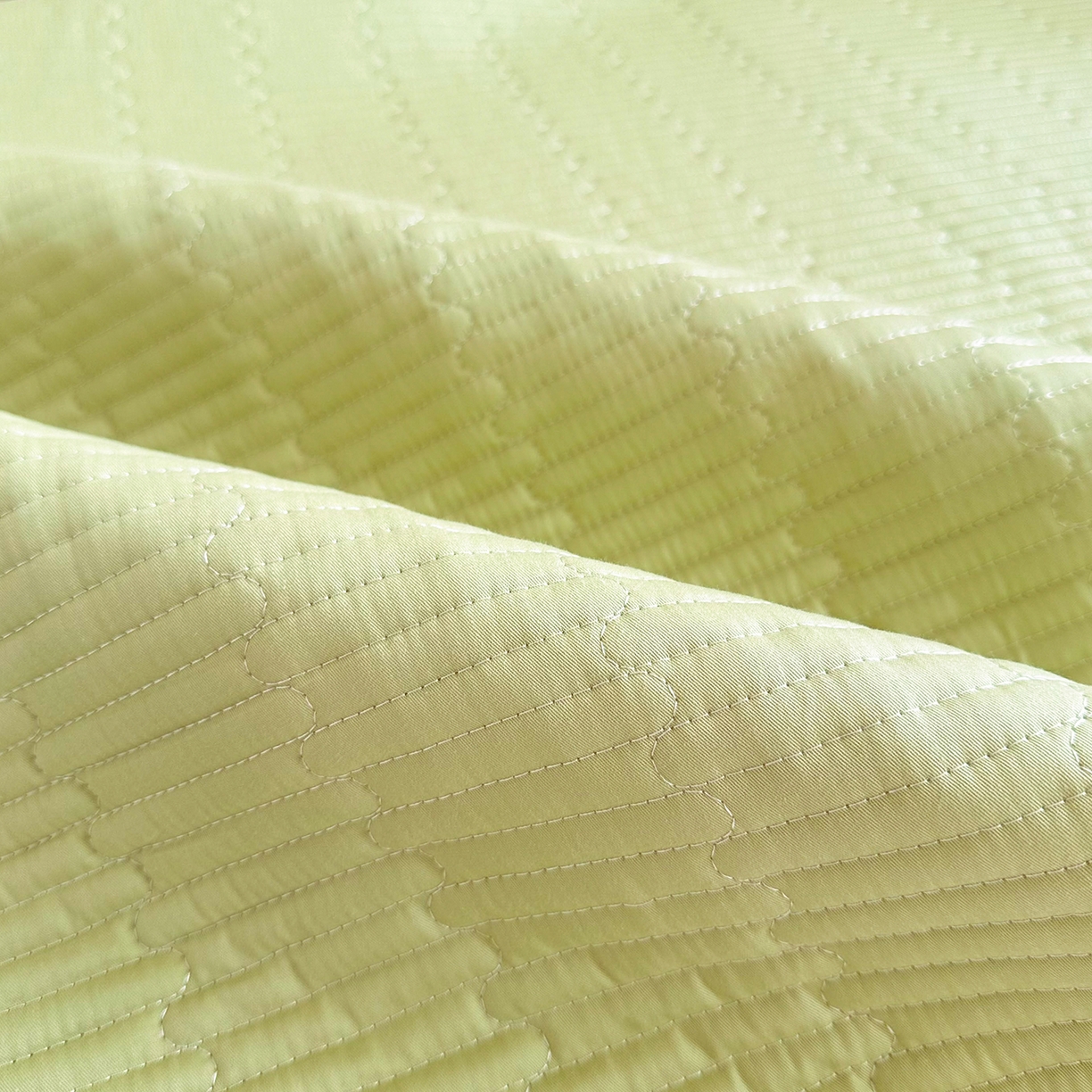 91家纺网 家纺一手货源 找家纺 妮可 2025热款学生床全棉夹棉多功能床垫-床盖 发芽绿