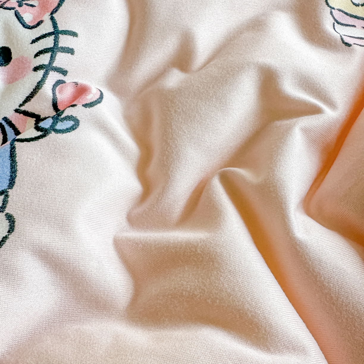 91家纺网 家纺一手货源 找家纺 纯优家纺 2025秋冬新款针织棉豆豆绒大豆秋冬被被子被芯（量大询价） 凯迪猫