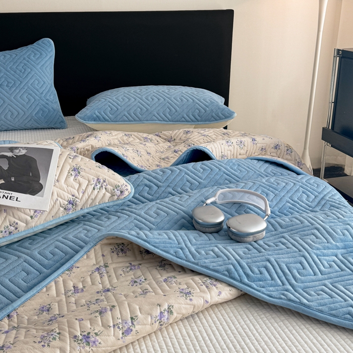 91家纺网 家纺一手货源 找家纺 （总）妮可 2025新款四季款双面可用一面棉一面220克牛奶绒夹棉床单床盖