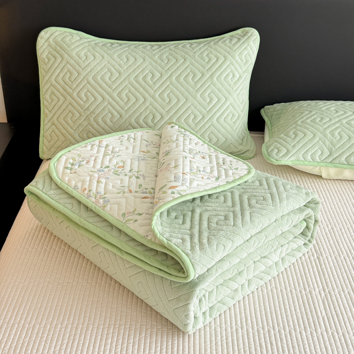 91家纺网 家纺一手货源 找家纺 妮可 2025新款四季款双面可用一面棉一面220克牛奶绒夹棉床单床盖 绿茉-遇见