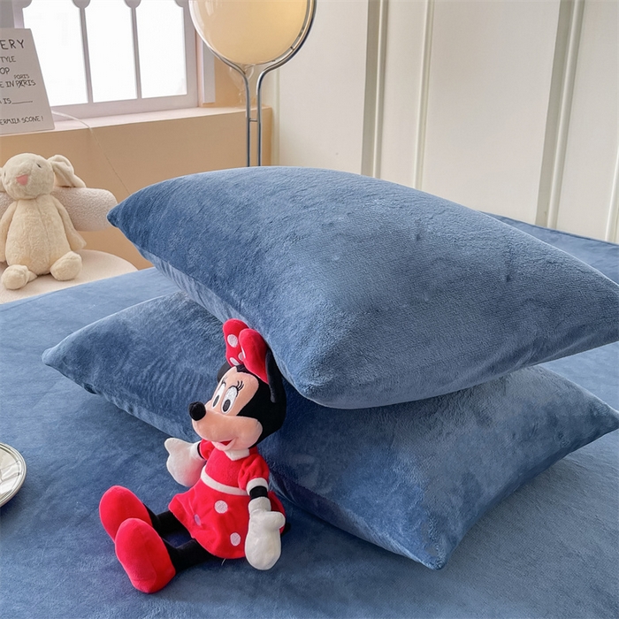 91家纺网 家纺一手货源 找家纺 （总）莎臣豹 2025新款保暖牛奶绒加厚水晶绒纯色床笠可配三件套