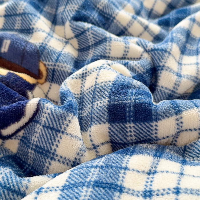 91家纺网 家纺一手货源 找家纺 爱彼家纺 2025新款奶油风羊羔绒+牛奶绒可爱卡通被子被芯秋被冬被被子被芯-直播热门款 蓝格英伦熊