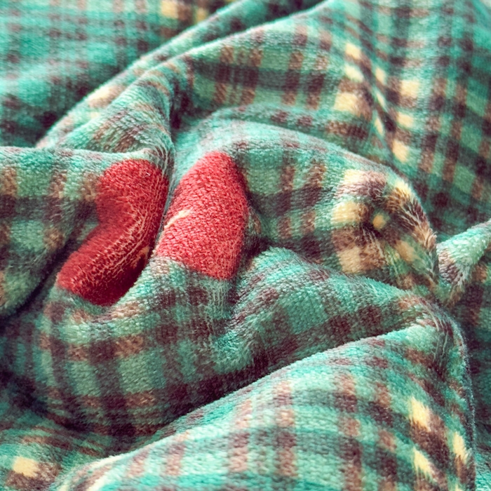 91家纺网 家纺一手货源 找家纺 爱彼家纺 2025新款奶油风羊羔绒+牛奶绒可爱卡通被子被芯秋被冬被被子被芯-直播热门款 绅士绿kt