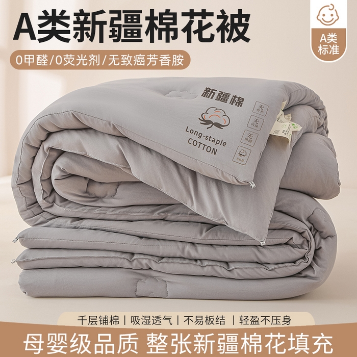 圣尔雅家纺 2025新款A类水洗棉新疆棉花被无印风冬被加厚保暖被子被芯四季通用被子 淡雅灰