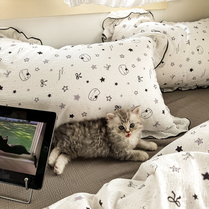 91家纺网 家纺一手货源 找家纺 繁花家居 2025新款高弹线云感木棉多层纱花边超软四件套 灰头小猫