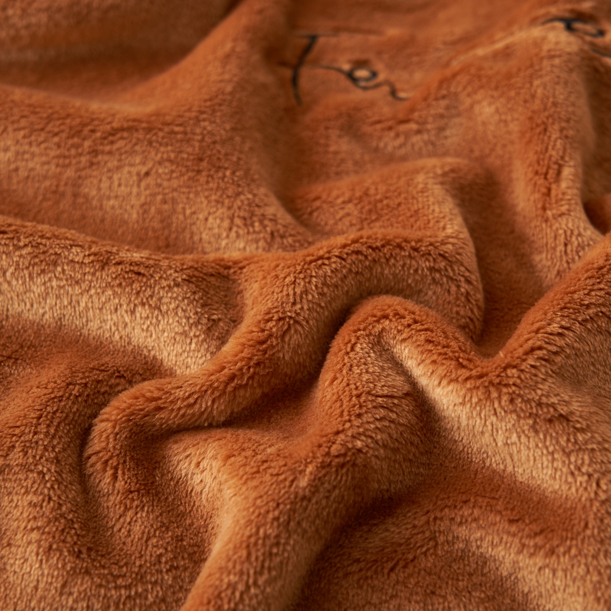 91家纺网 家纺一手货源 找家纺 艾佳 2025A类加厚双面牛奶绒多功能四季毯-绣花毛毯 绣花-布朗棕