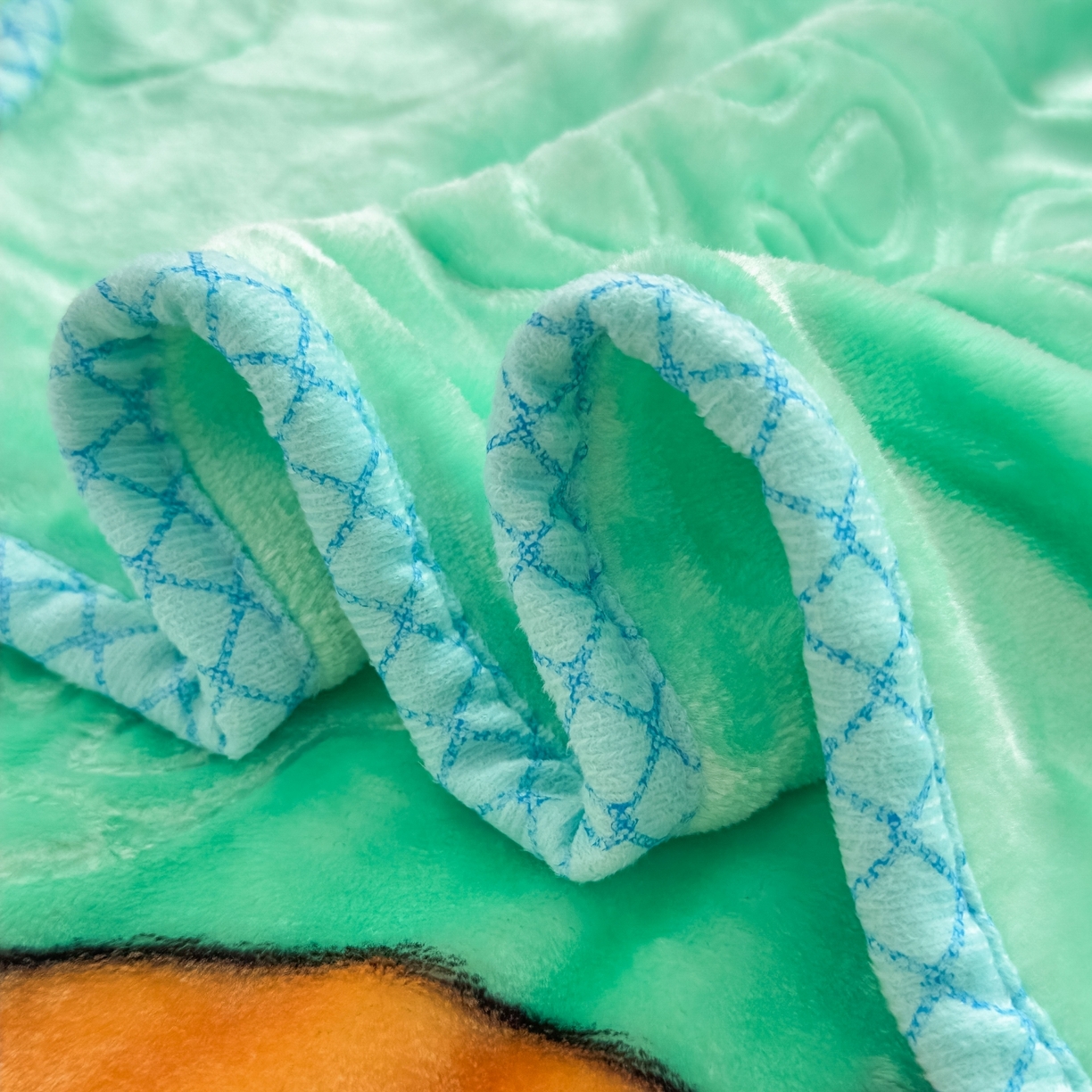 91家纺网 家纺一手货源 找家纺 悦织湾家纺 2025新款拉舍尔双层云绒童毯毯子卡通休闲沙发盖毯毛毯儿童婴幼儿宝宝小毯子 宝宝乐园11#绿