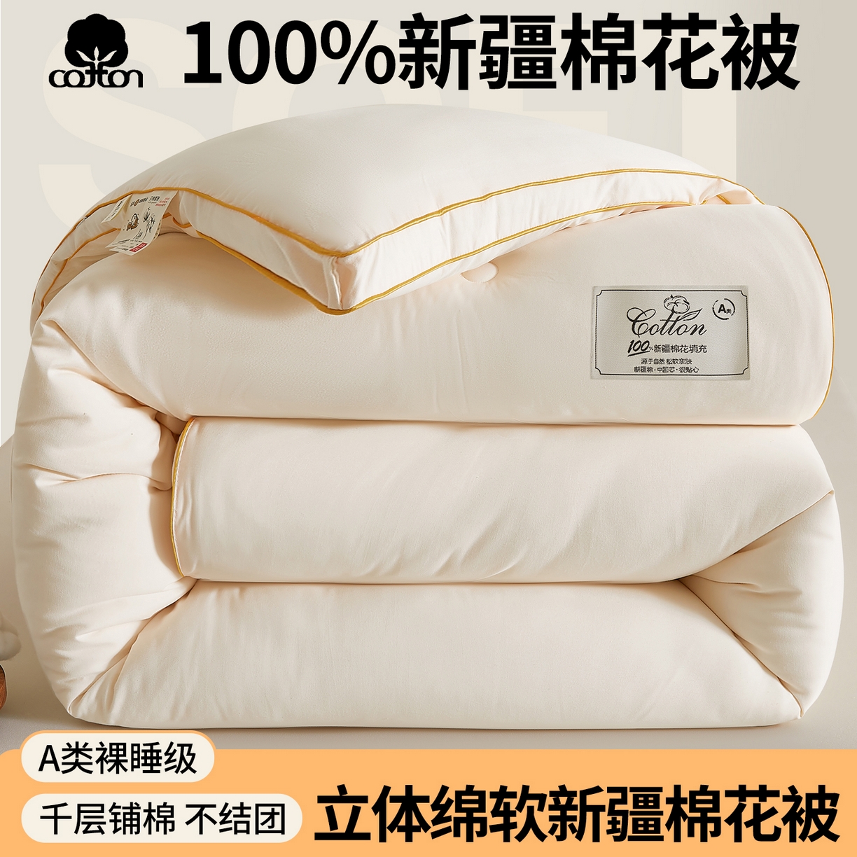 （总）仁凯家纺 2025新款简约立体滚边100%新疆棉花被冬被春秋被学生被被子被芯