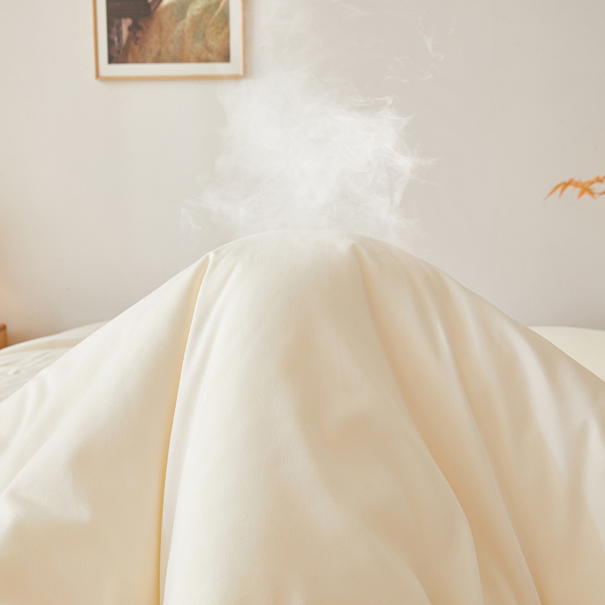 91家纺网 家纺一手货源 找家纺 上学郎家居 2025新款A类无染水洗棉大豆被子被芯 无染大豆 奶白