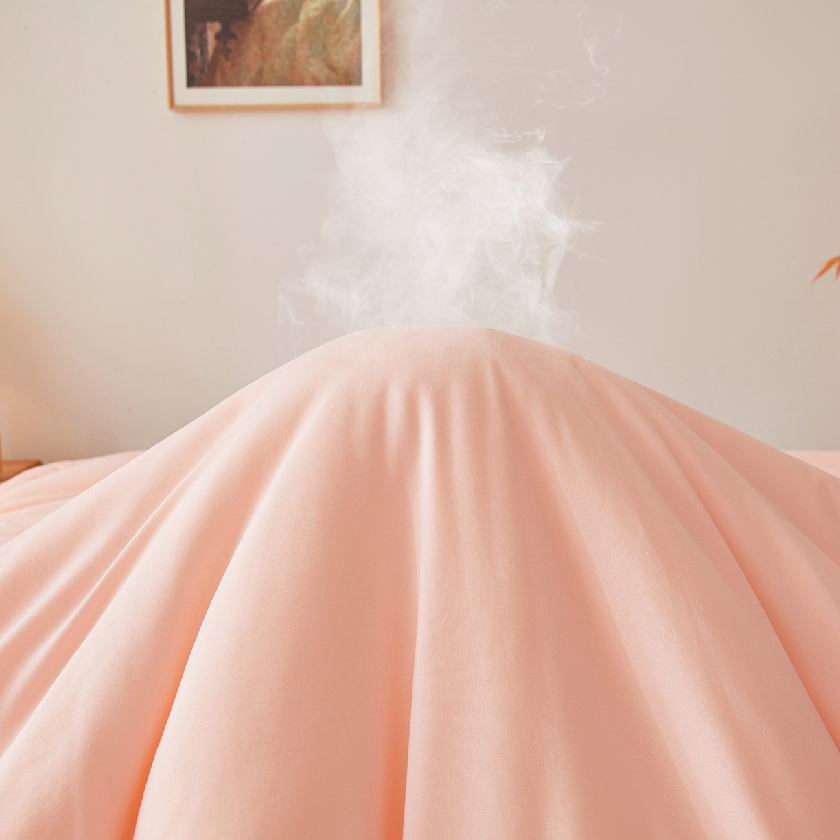 91家纺网 家纺一手货源 找家纺 上学郎家居 2025新款A类无染水洗棉大豆被子被芯 无染大豆 粉玉