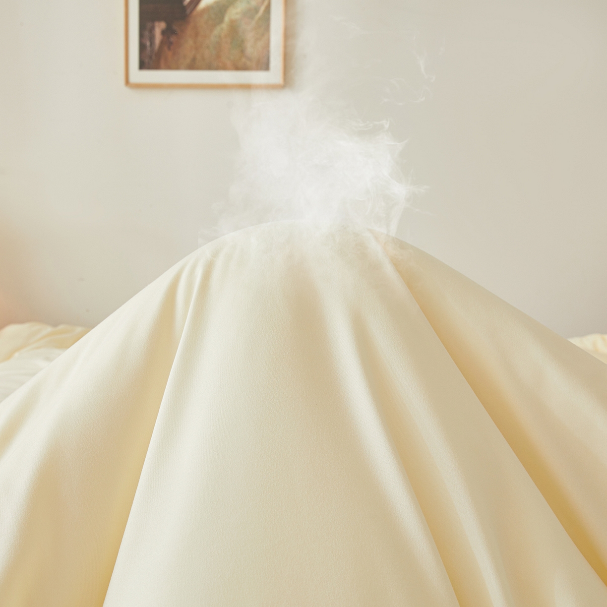 91家纺网 家纺一手货源 找家纺 上学郎家居 2025新款A类无染水洗棉大豆被子被芯 无染大豆 米黄