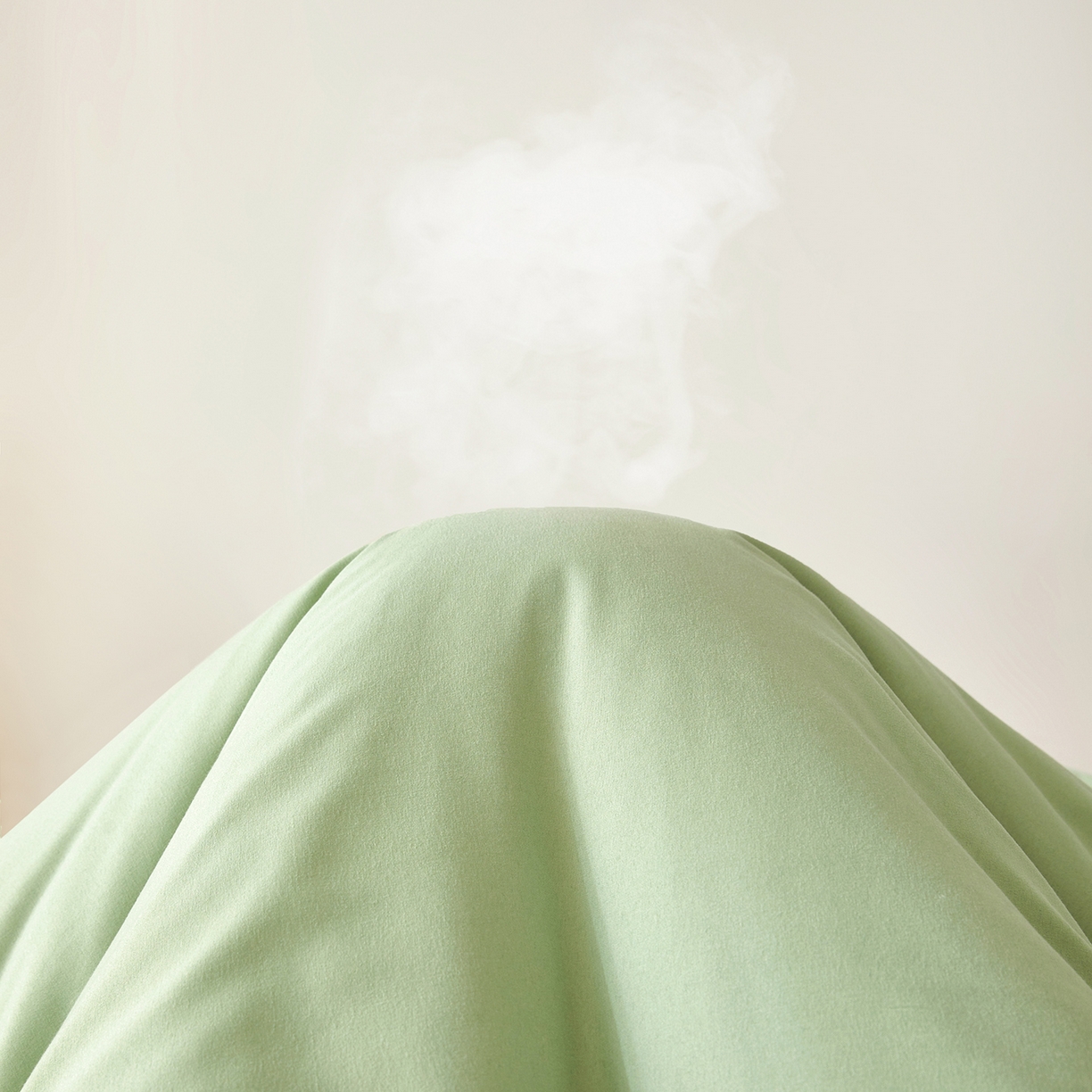 91家纺网 家纺一手货源 找家纺 上学郎家居 2025新款A类无染水洗棉大豆被子被芯 无染大豆 橄榄绿