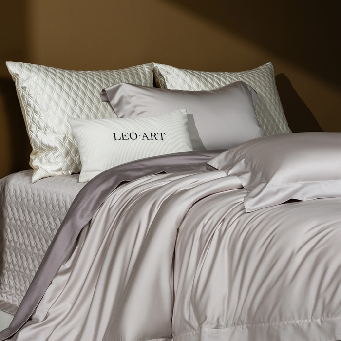 涞澳家纺 2025新款80天丝棉磨毛床盖压线款四件套-星河入梦 星河入梦-米灰