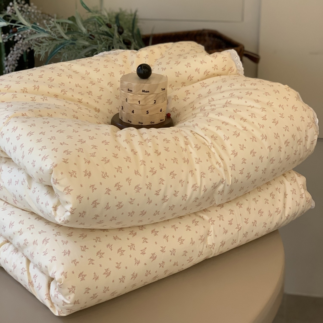 91家纺网 家纺一手货源 找家纺 汇庭 2025秋冬新品慕斯春秋被子被芯系列 维密豆沙