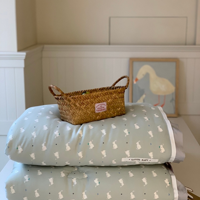 汇庭 2025新款美棉春秋被被子被芯系列 萝莉兔