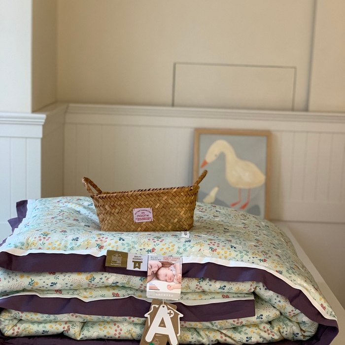 91家纺网 家纺一手货源 找家纺 汇庭 2025新款美棉春秋被被子被芯系列 百香果