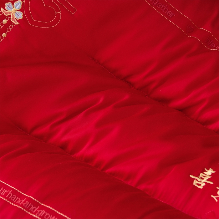 91家纺网 家纺一手货源 找家纺 （总）仁宇枕业 2025新款新品大喜之日结婚婚庆枕头新娘新郎新婚喜庆舒适高中低枕头枕芯