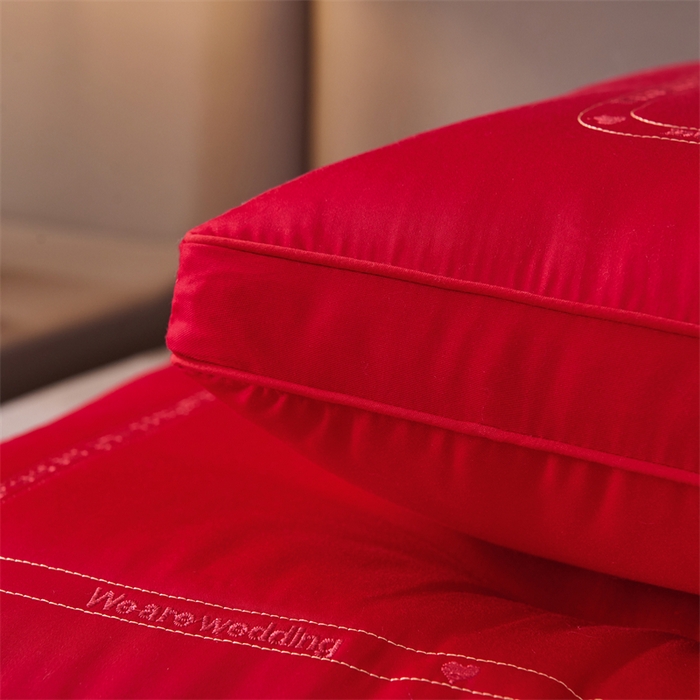 91家纺网 家纺一手货源 找家纺 （总）仁宇枕业 2025新款新品大喜之日结婚婚庆枕头新娘新郎新婚喜庆舒适高中低枕头枕芯