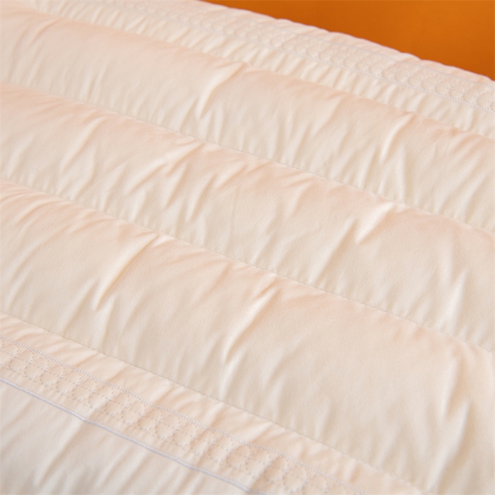 91家纺网 家纺一手货源 找家纺 （总）仁宇枕业 2025新款枕芯A类全棉大豆定型低枕头云感大豆低枕头枕芯