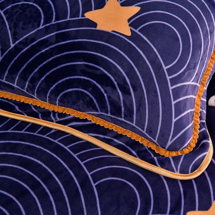 91家纺网 家纺一手货源 找家纺 韩秀2025新款金貂牛奶法莱绒床裙款四件套加厚保暖8.5斤金雕绒 流星花园