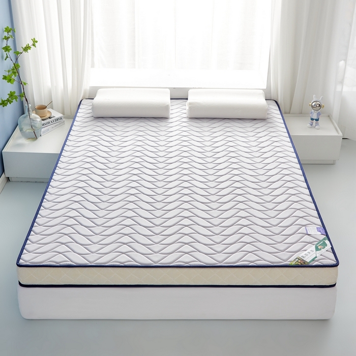 91家纺网 家纺一手货源 找家纺 美芝莱床垫 2025新款立体大波浪小波浪床垫【带有买家秀】针织抗菌支撑床垫 立体大波浪波纹灰（5.5cm）