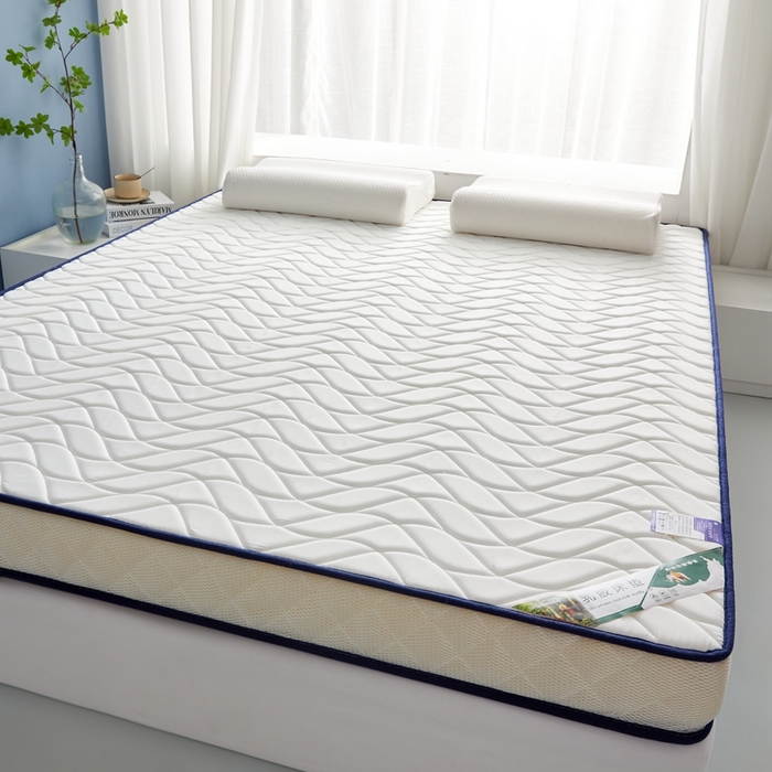 91家纺网 家纺一手货源 找家纺 美芝莱床垫 2025新款立体大波浪小波浪床垫【带有买家秀】针织抗菌支撑床垫 立体大波浪波纹白（5.5cm）