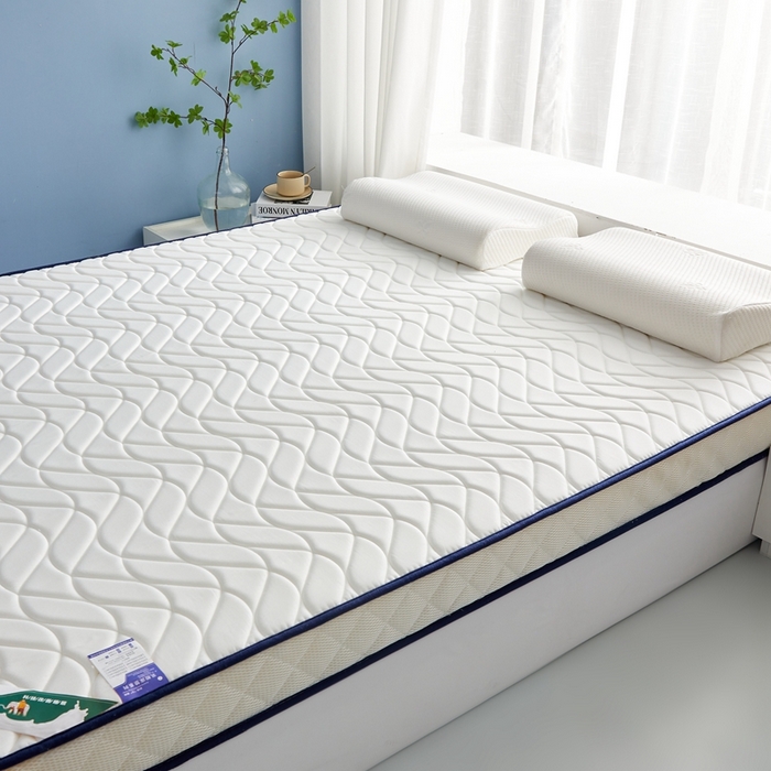 91家纺网 家纺一手货源 找家纺 美芝莱床垫 2025新款立体大波浪小波浪床垫【带有买家秀】针织抗菌支撑床垫 立体大波浪波纹白（5.5cm）