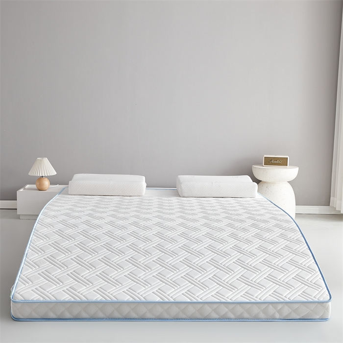 91家纺网 家纺一手货源 找家纺 美芝莱床垫 2025新款立体鹿头立体撞色床垫【带有买家秀】针织抗菌支撑床垫 立体-奶昔白（5.5cm）