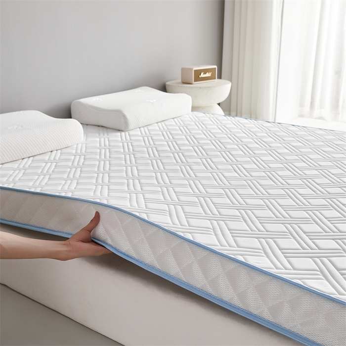 91家纺网 家纺一手货源 找家纺 美芝莱床垫 2025新款立体鹿头立体撞色床垫【带有买家秀】针织抗菌支撑床垫 立体-奶昔白（5.5cm）