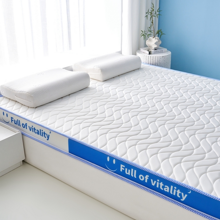 91家纺网 家纺一手货源 找家纺 美芝莱床垫 2025新款立体海绵床垫【带有买家秀】针织抗菌支撑床垫 微笑海绵-白（5cm）