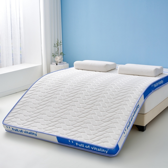 91家纺网 家纺一手货源 找家纺 美芝莱床垫 2025新款立体海绵床垫【带有买家秀】针织抗菌支撑床垫 微笑海绵-白（5cm）